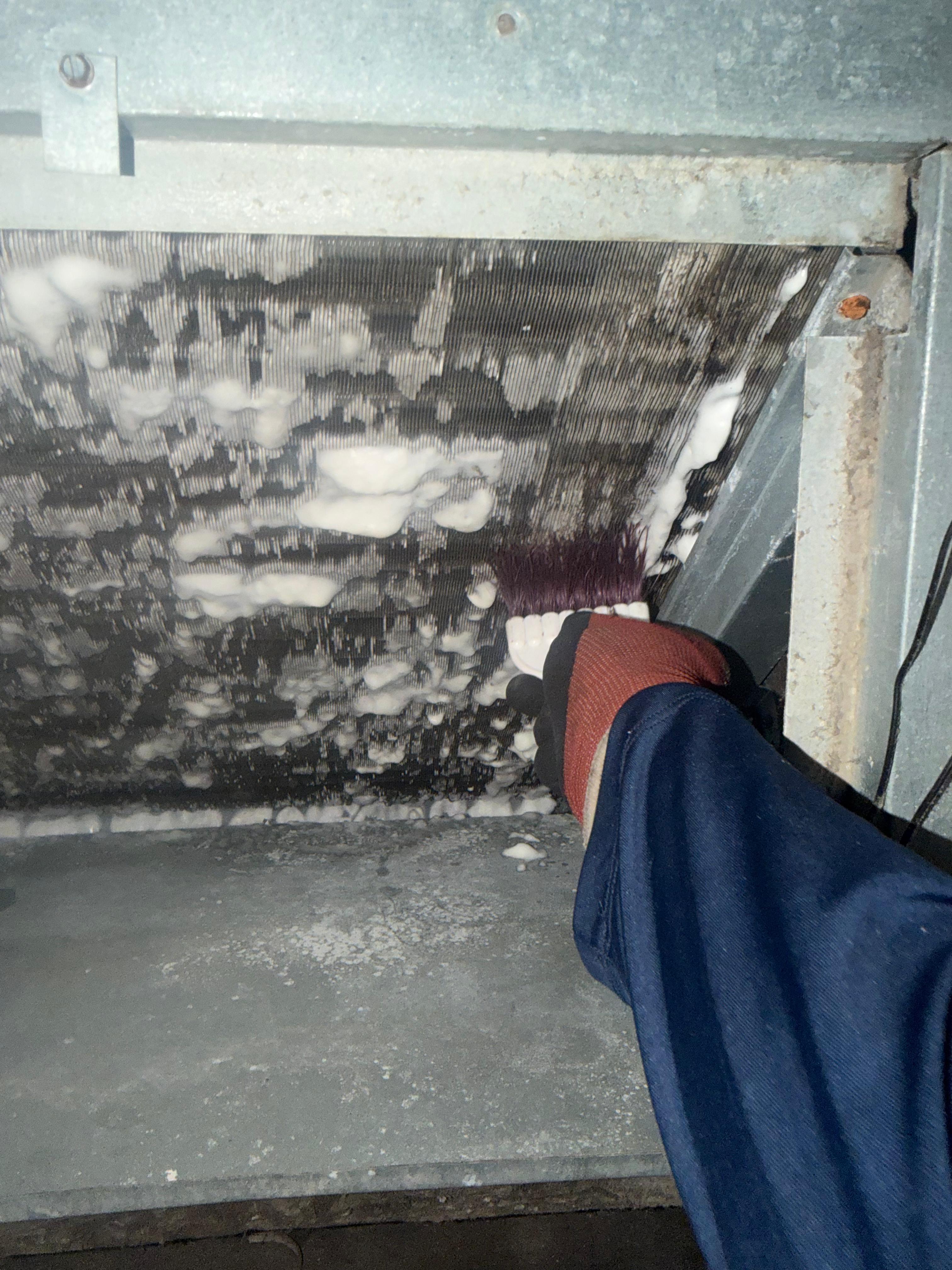 Cooling Masters technician performing evaporator coil cleaning